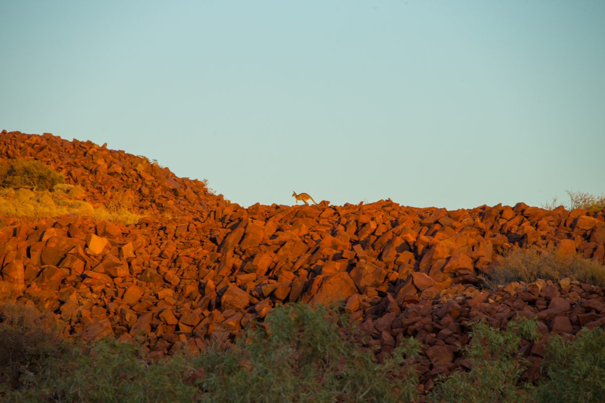 New strategies developed to protect Pilbara rock art